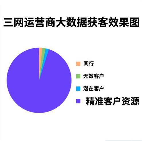 三網(wǎng)運營商大數(shù)據(jù)技術(shù)推廣服務 驅(qū)動企業(yè)數(shù)字化轉(zhuǎn)型新引擎